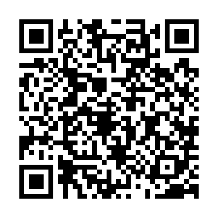 QR code for E387884