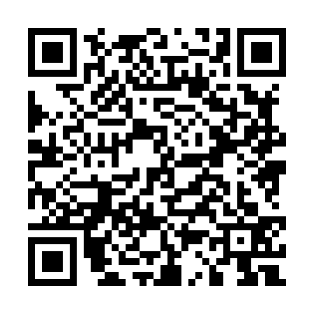 QR code for E388333