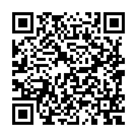 QR code for E389952