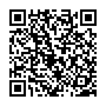 QR code for E393893