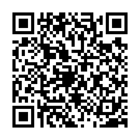 QR code for E396317