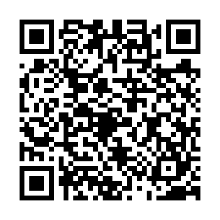QR code for E396641