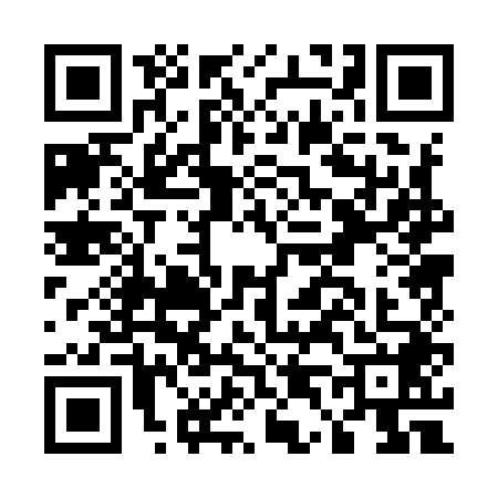 QR code for E409484