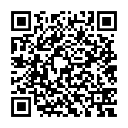 QR code for E425393