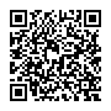 QR code for E438271