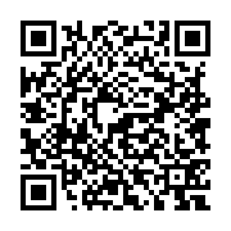 QR code for E449738