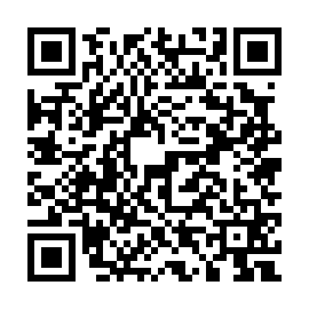 QR code for E450613