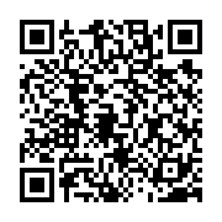 QR code for E496313