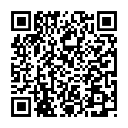 QR code for E509428