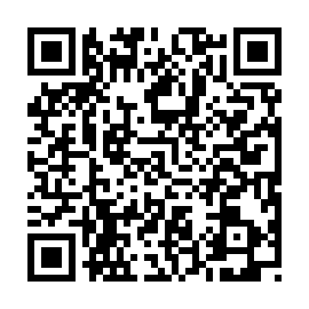 QR code for E519938