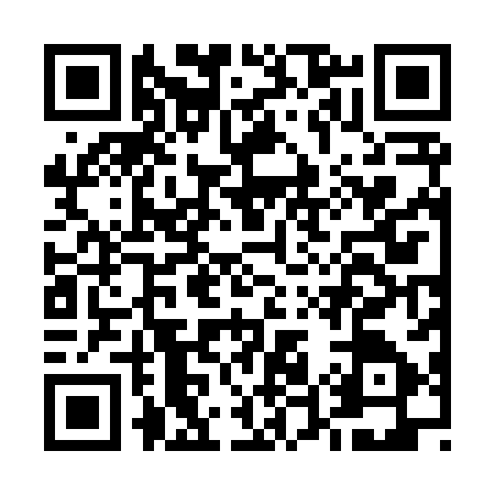 QR code for E528871