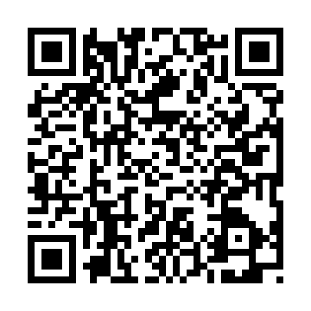 QR code for E595377