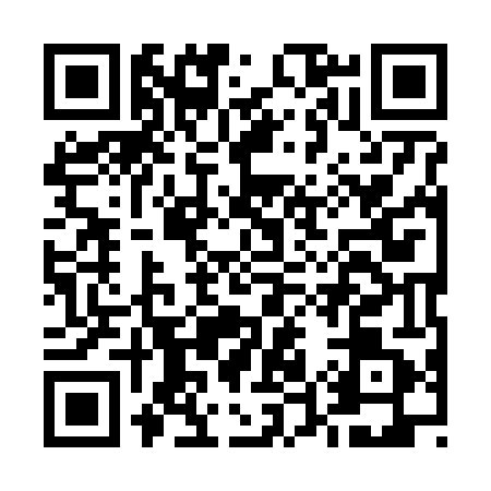 QR code for E596419