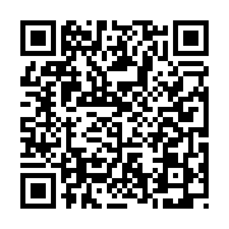 QR code for E600495