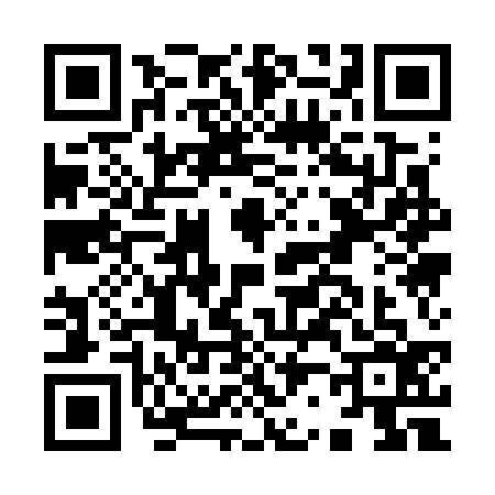 QR code for I217365