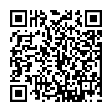 QR code for I223161