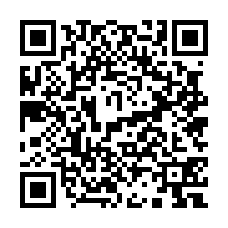 QR code for I250301