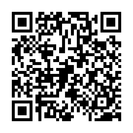 QR code for I272447