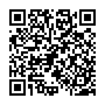 QR code for I295877