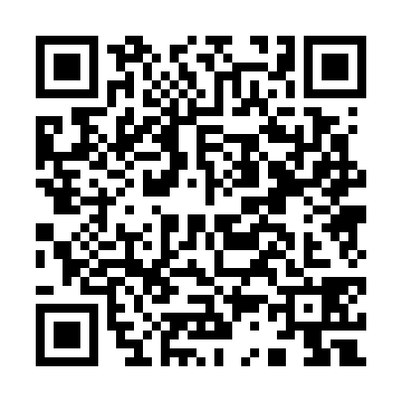 QR code for I307387