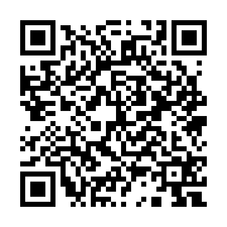 QR code for I313246