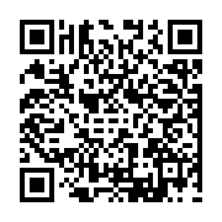 QR code for I333224