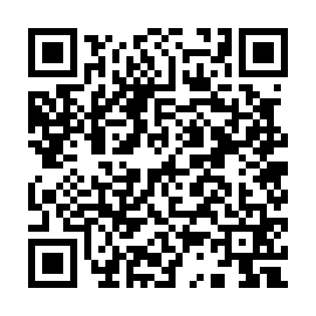 QR code for I370619