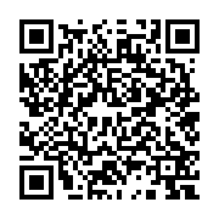 QR code for I376231