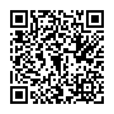 QR code for I383262