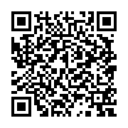QR code for I384502