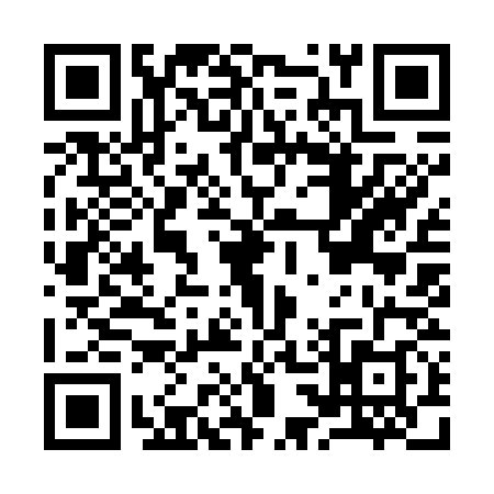 QR code for I397383