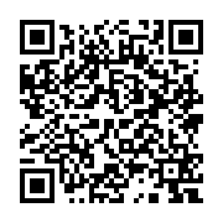 QR code for I397611