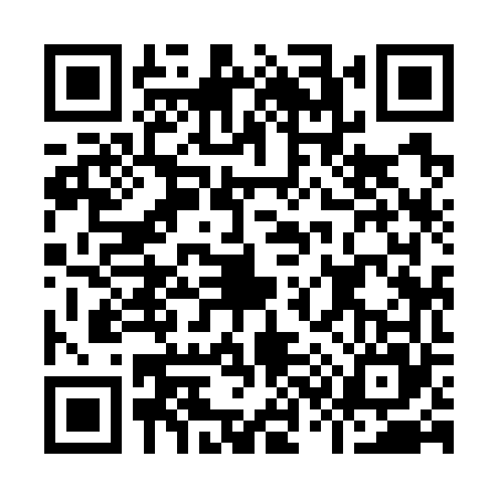 QR code for I397653