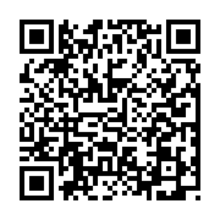 QR code for I429295