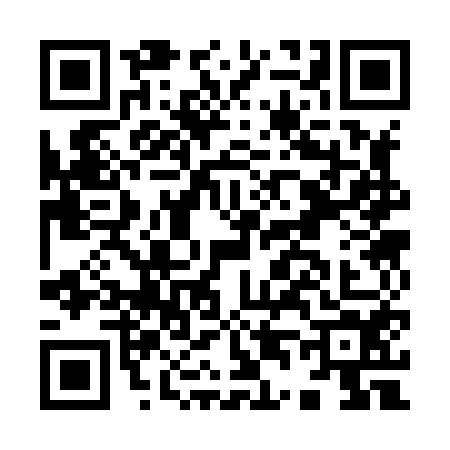 QR code for I438541
