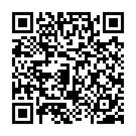 QR code for I447351