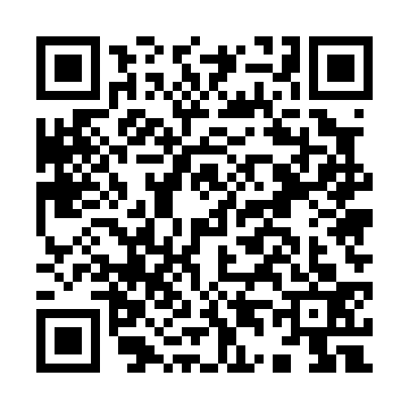 QR code for I450333
