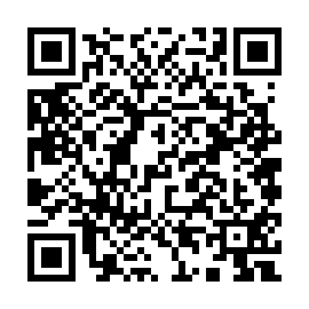 QR code for I463119