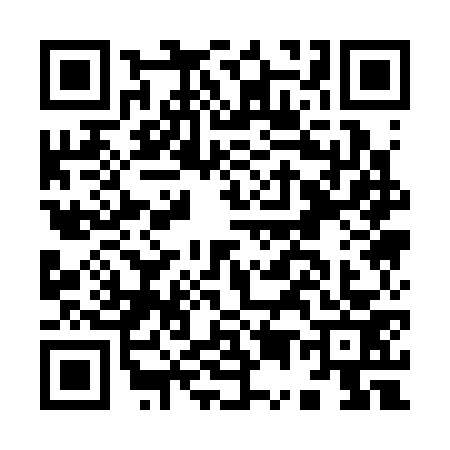 QR code for I513737