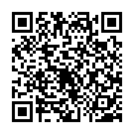 QR code for I543787