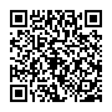 QR code for I602393
