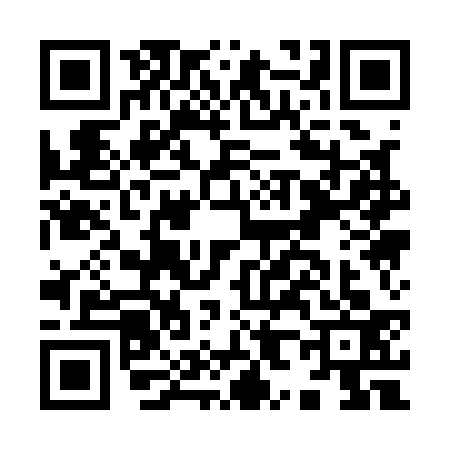 QR code for I811338