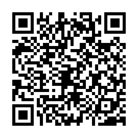 QR code for I950595