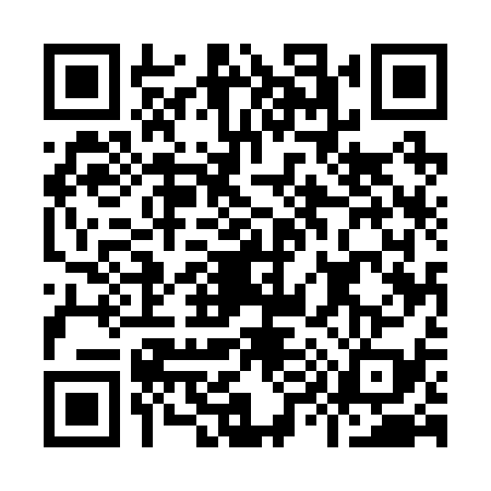 QR code for I952393