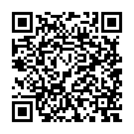 QR code for K028863