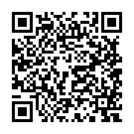 QR code for K228856
