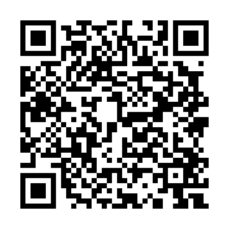 QR code for K290463