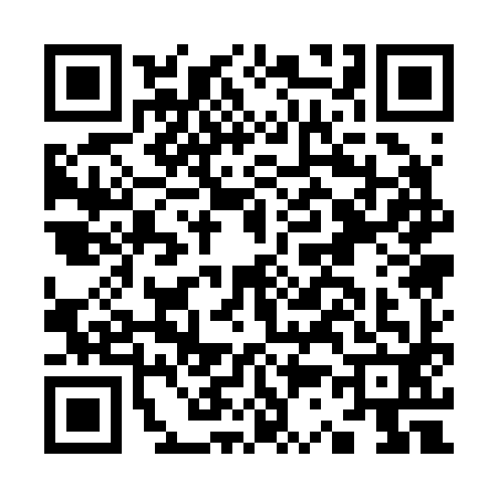 QR code for K312928