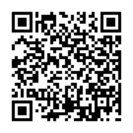 QR code for K313138