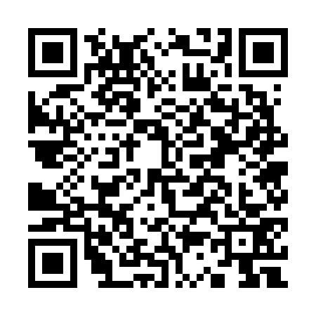 QR code for K376739